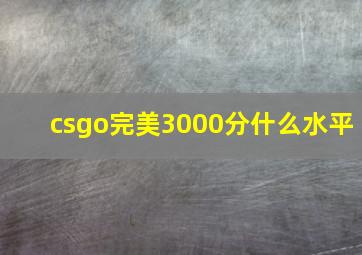 csgo完美3000分什么水平