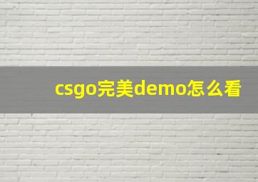 csgo完美demo怎么看