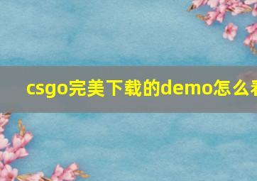 csgo完美下载的demo怎么看