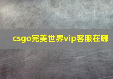 csgo完美世界vip客服在哪