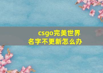 csgo完美世界名字不更新怎么办