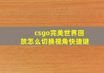 csgo完美世界回放怎么切换视角快捷键