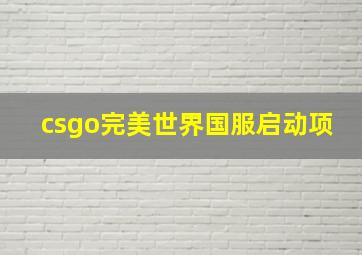 csgo完美世界国服启动项