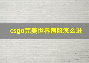 csgo完美世界国服怎么进