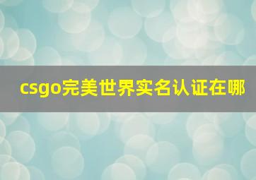 csgo完美世界实名认证在哪