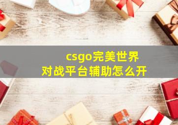 csgo完美世界对战平台辅助怎么开