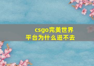 csgo完美世界平台为什么进不去