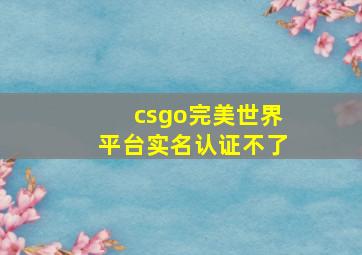 csgo完美世界平台实名认证不了