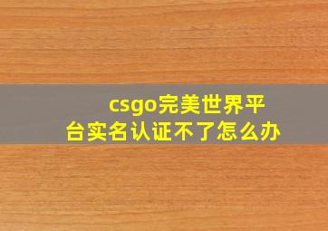 csgo完美世界平台实名认证不了怎么办