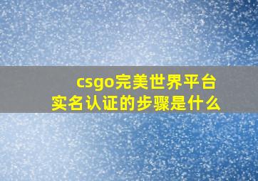 csgo完美世界平台实名认证的步骤是什么