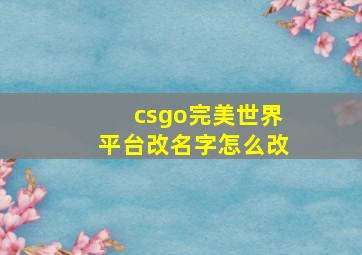 csgo完美世界平台改名字怎么改