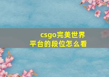 csgo完美世界平台的段位怎么看