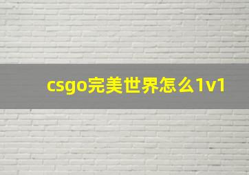 csgo完美世界怎么1v1