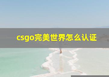 csgo完美世界怎么认证