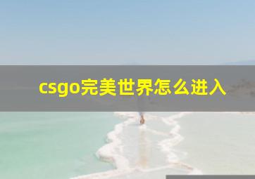 csgo完美世界怎么进入