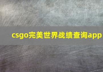 csgo完美世界战绩查询app