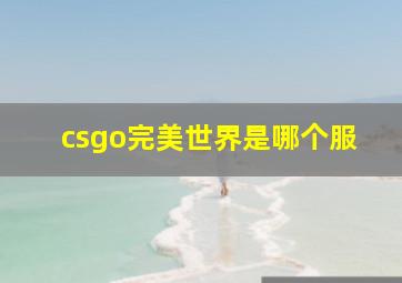 csgo完美世界是哪个服