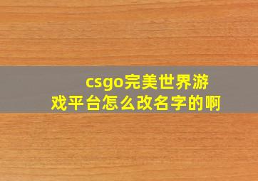 csgo完美世界游戏平台怎么改名字的啊