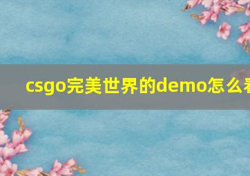 csgo完美世界的demo怎么看