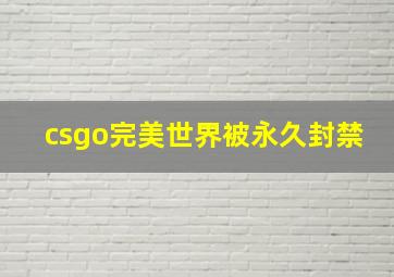 csgo完美世界被永久封禁