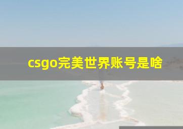 csgo完美世界账号是啥