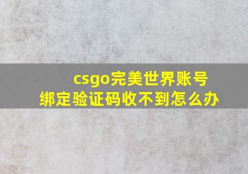 csgo完美世界账号绑定验证码收不到怎么办