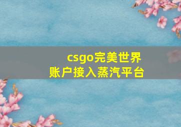 csgo完美世界账户接入蒸汽平台