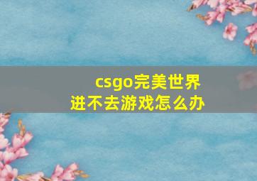 csgo完美世界进不去游戏怎么办