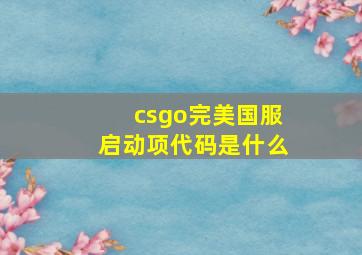 csgo完美国服启动项代码是什么