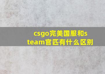 csgo完美国服和steam官匹有什么区别