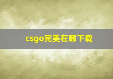 csgo完美在哪下载