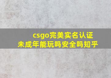 csgo完美实名认证未成年能玩吗安全吗知乎