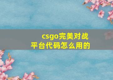 csgo完美对战平台代码怎么用的