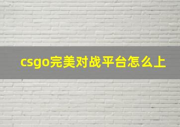 csgo完美对战平台怎么上