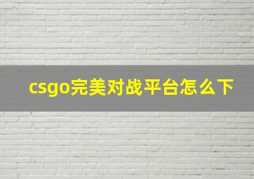 csgo完美对战平台怎么下