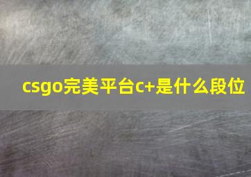 csgo完美平台c+是什么段位