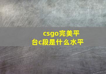 csgo完美平台c段是什么水平