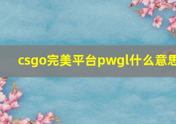 csgo完美平台pwgl什么意思