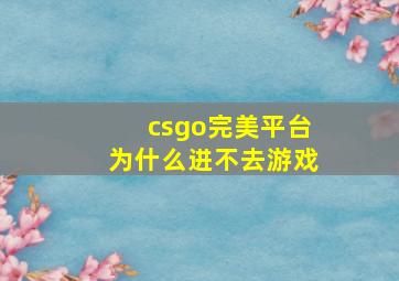 csgo完美平台为什么进不去游戏