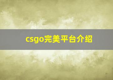 csgo完美平台介绍