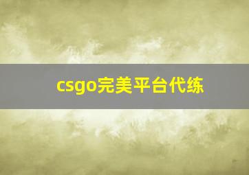 csgo完美平台代练