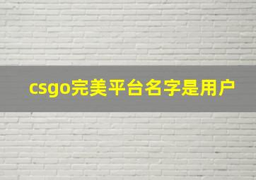 csgo完美平台名字是用户