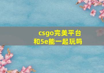 csgo完美平台和5e能一起玩吗