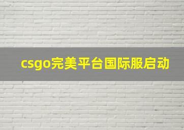 csgo完美平台国际服启动