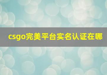 csgo完美平台实名认证在哪