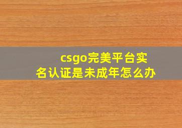 csgo完美平台实名认证是未成年怎么办