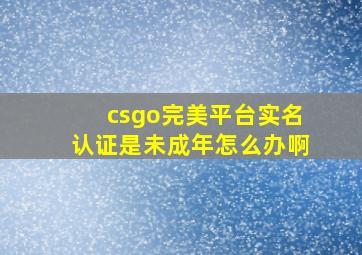 csgo完美平台实名认证是未成年怎么办啊