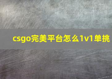 csgo完美平台怎么1v1单挑