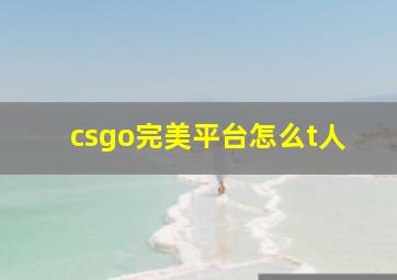 csgo完美平台怎么t人