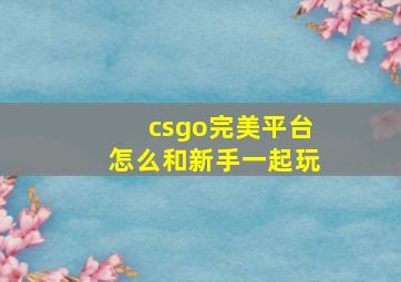 csgo完美平台怎么和新手一起玩